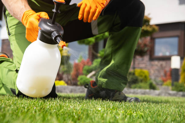 Professional Pest Control in North Ridgeville, OH